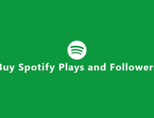 The need for increased Spotify Plays and Spotify Followers