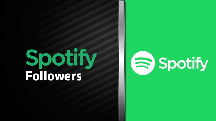 Buy USA Spotify Followers